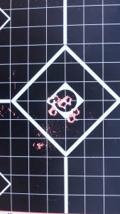 Ruger American, PP