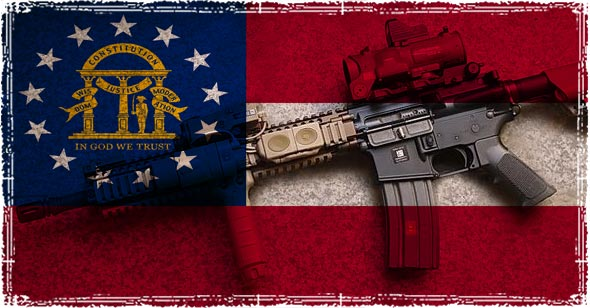 Georgia Flag and AR-15