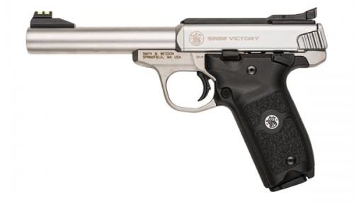 S&W sw22 victory