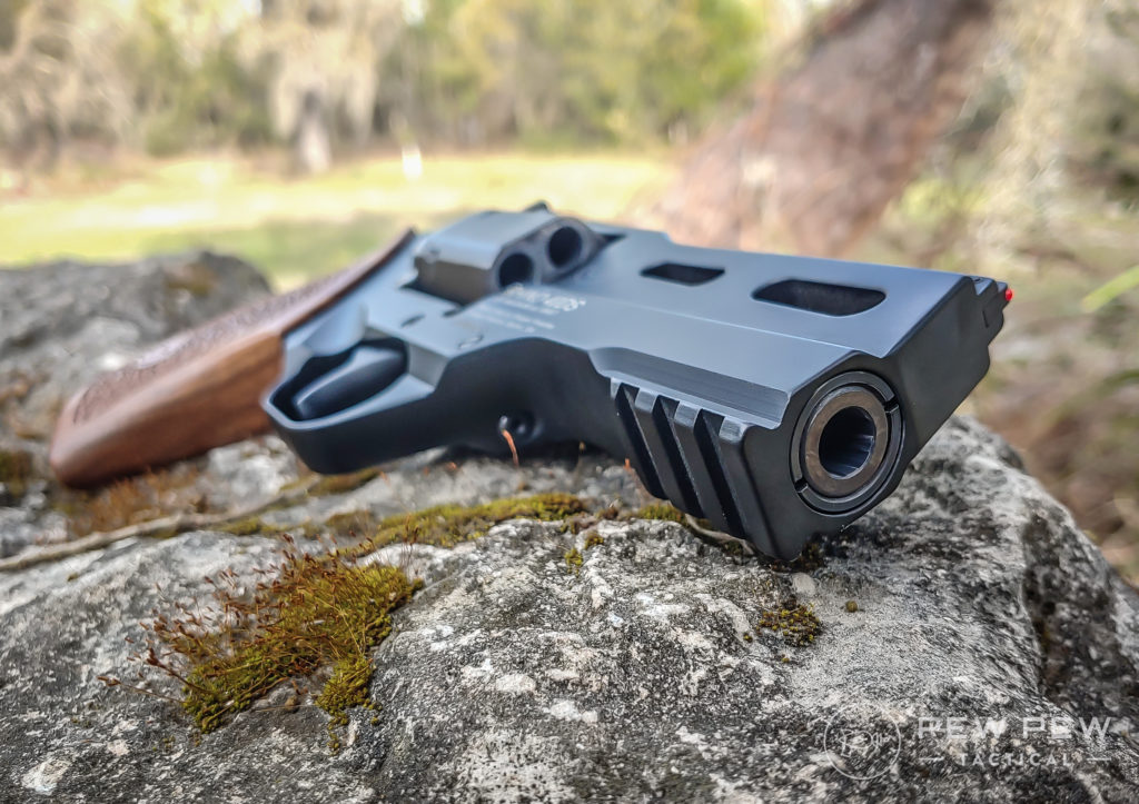 Chiappa rhino