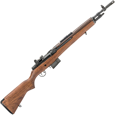 Springfield Armory M1A Scout Squad