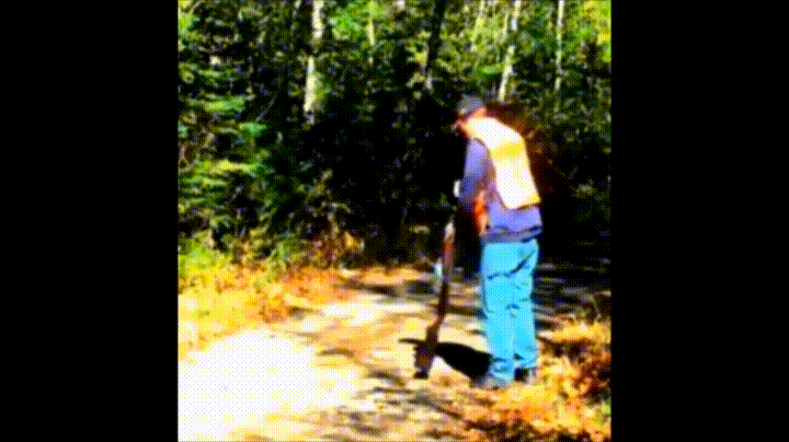 Look Down Barrel