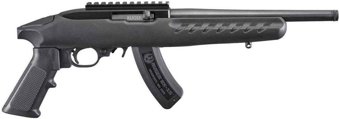 Ruger 10/22 Charger