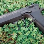 Uzi Eagle