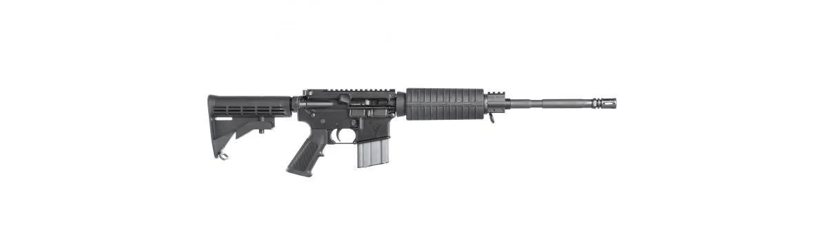 Stag Arms Stag 15