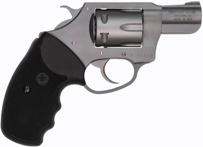 Charter Arms Pathfinder