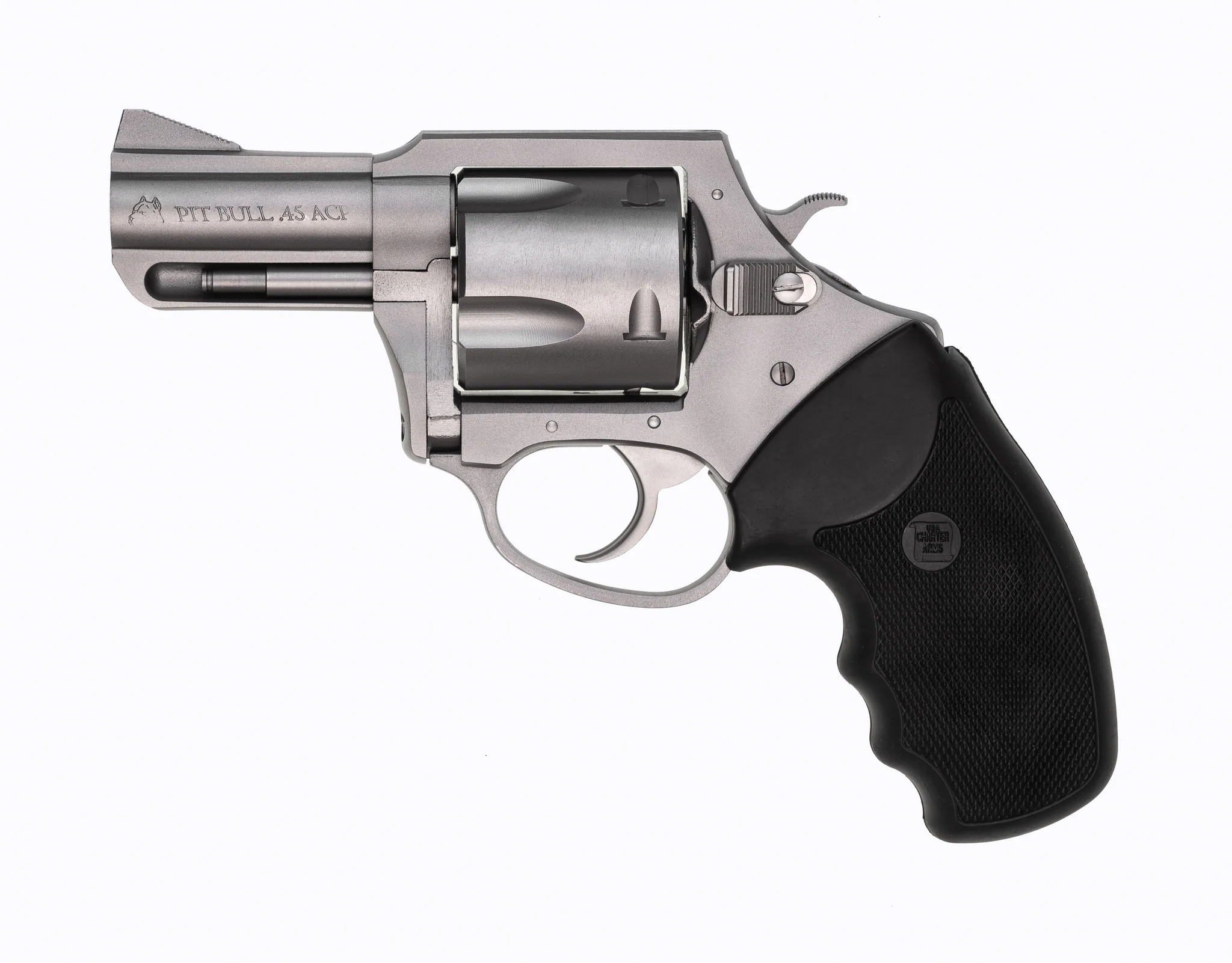 Charter Arms Pitbull .45 ACP
